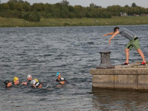 3 owswim