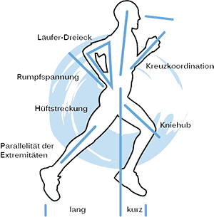 laeuferdreieck